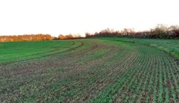 What does climate change mean for UK arable farms?